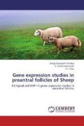 Gene expression studies in preantral follicles of Sheep : Kit-ligand and BMP-15 genes expression studies in preantral follicles （Aufl. 2012. 88 S. 220 mm）