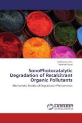 Degradation Studies of Organic Pollutants : Mechanistic Studies of Degradation Phenomenon （Aufl. 2012. 128 S. 220 mm）