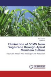 Elimination of SCMV from Sugarcane through Apical Meristem Culture : Sugarcane Mosaic Virus free Sugarcane Production （Aufl. 2012. 144 S.）