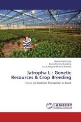 Jatropha L.: Genetic Resources & Crop Breeding : Focus on Biodiesel Production in Brazil （Aufl. 2012. 156 S.）
