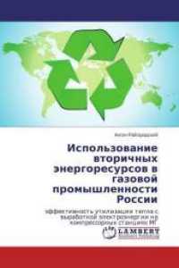 Ispol'zovanie vtorichnyh jenergoresursov v gazovoj promyshlennosti Rossii : jeffektivnost' utilizacii tepla s vyrabotkoj jelektrojenergii na kompressornyh stanciyah MG （2014. 84 S. 220 mm）