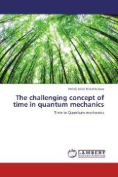 The challenging concept of time in quantum mechanics : Time in Quantum mechanics （2012. 60 S. 220 mm）