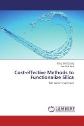 Cost-effective Methods to Functionalize Silica : For water treatment （2012. 204 S. 220 mm）