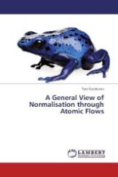 A General View of Normalisation through Atomic Flows （2013. 152 S. 220 mm）