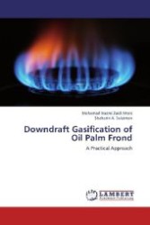 Downdraft Gasification of Oil Palm Frond : A Practical Approach （2012. 176 S. 220 mm）