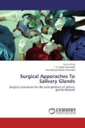 Surgical Apporaches To Salivary Glands : Surgical procedures for the wide plethora of salivary glands diseases （2012. 124 S. 220 mm）