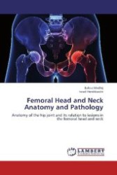 Femoral Head and Neck Anatomy and Pathology : Anatomy of the hip joint and its relation to lesions in the femoral head and neck （2012. 180 S. 220 mm）