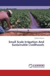 Small Scale Irrigation And Sustainable Livelihoods （2012. 148 S. 220 mm）