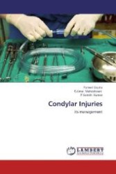 Condylar Injuries : its management （2012. 128 S. 220 mm）
