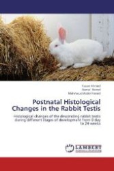 Postnatal Histological Changes in the Rabbit Testis : Histological changes of the descending rabbit testis during different stages of development from 0 day to 24 weeks （2012. 120 S. 220 mm）