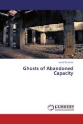 Ghosts of Abandoned Capacity （2012. 236 S. 220 mm）