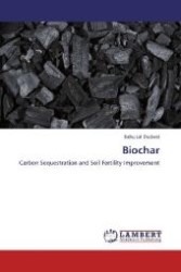 Biochar : Carbon Sequestration and Soil Fertility Improvement （2012. 52 S. 220 mm）