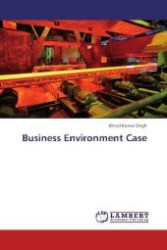 Business Environment Case （2012. 160 S. 220 mm）