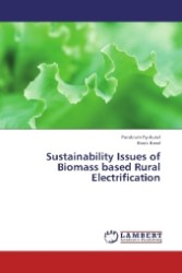 Sustainability Issues of Biomass based Rural Electrification （2013. 120 S. 220 mm）