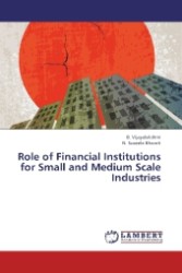 Role of Financial Institutions for Small and Medium Scale Industries （2013. 240 S. 220 mm）