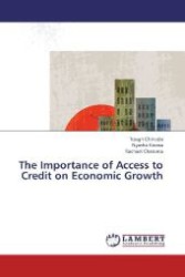 The Importance of Access to Credit on Economic Growth （2013. 100 S. 220 mm）