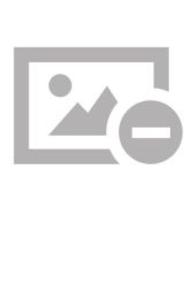 Determination of  Safe Zone  for Implantation of Micro-Implants （2013. 100 S. 220 mm）