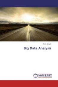 Big Data Analysis （2013. 96 S. 220 mm）