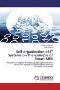 Self-organization of IT Systems on the example of Smart-MES