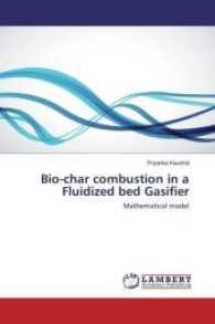 Bio-char combustion in a Fluidized bed Gasifier : Mathematical model （2017. 148 S. 220 mm）