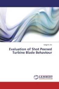 Evaluation of Shot Peened Turbine Blade Behaviour （2016. 120 S. 220 mm）