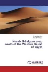 Nusab El-Balgum area, south of the Western Desert of Egypt （2016. 64 S. 220 mm）
