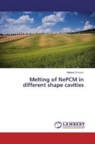 Melting of NePCM in different shape cavities （2016. 220 S. 220 mm）