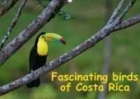 Fascinating birds of Costa Rica / UK-Version (Wall Calendar perpetual DIN A2 Landscape) : A glance at the fascinating, colorful birdlife of Costa Rica (Month Calendar, 14 pages) (CALVENDO Animals) （1. Auflage. 2013. 14 S. 14 farb. Abb. 420x594 mm）