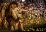 Wildlife 2014 (Wandkalender 2014 DIN A4 quer) : Wilde Tierwelt in fantastischen Aufnahmen (Monatskalender, 14 Seiten) (CALVENDO Tiere) （1. Auflage 2013. 2013. 14 S. 14 farb. Abb. 210x297 mm）