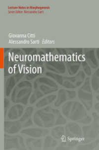 Neuromathematics of Vision (Lecture Notes in Morphogenesis)