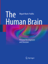 The Human Brain : Prenatal Development and Structure