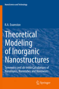 Theoretical Modeling of Inorganic Nanostructures : Symmetry and ab-initio Calculations of Nanolayers, Nanotubes and Nanowires (Nanoscience and Technology)