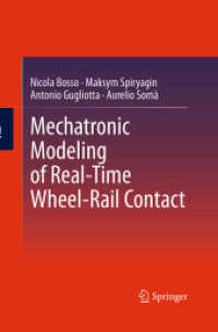 Mechatronic Modeling of Real-Time Wheel-Rail Contact