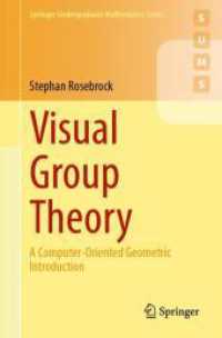 ビジュアル群論：コンピュータ指向の幾何学的入門（テキスト）<br>Visual Group Theory : A Computer-Oriented Geometric Introduction (Springer Undergraduate Mathematics Series) （2024）