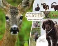 Wir besuchen unsere Wildtiere : Ein Naturbilderbuch. Entdecke mit der kleinen Jagdhündin Viva unsere Wildtiere （2016. 44 S. m. zahlr. bunten Bild. 30 cm）