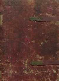 Die Salzburger Armenbibel : Codex a IX 12 （2020. 92 S. 32.5 cm）