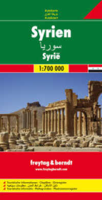 Syria Road Map 1:700 000