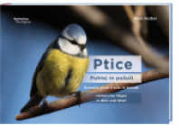 Ptice - puhlej in posusi : Heimische V&ouml;gel in Bild und Wort/Domace ptice v sliki in besedi
