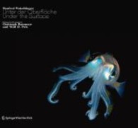 Unter der Oberfläche; Under the Surface : Mit Beitr. v. Christoph Ransmayr u. Wolf D. Prix. Dtsch.-Engl. （2012. 180 S. m. 150 Farbabb. 29,2 cm）