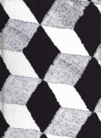 Gizmo (Passagen Kunst) （2012. 184 S. m. zahlr. Abb. 22 cm）