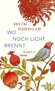 Wo noch Licht brennt : Roman （2. Aufl. 2017. 344 S. 20,5 cm）