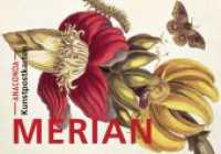 Postkarten-Set Maria Sibylla Merian : 18 Kunstpostkarten aus hochwertigem Karton. ca. 0,28EUR pro Karte (Anaconda Postkarten 2) （2021. 20 S. 18 Farbabb. 156 mm）