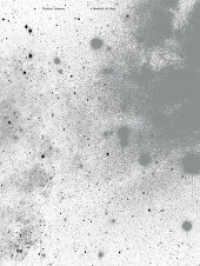 Florian Schwarz : A handful of dust （2019. 232 S. 265 SW-Abb., 350 Farbabb. 31 cm）