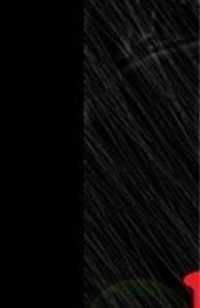 Drei Verbrechen: Drei Krimis （2017. 576 S. 216 mm）