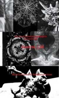 Nonsense_1_DR : Skurrile Stories f&uuml;r Nonkonformisten （2. Aufl. 2022. 428 S. 196 mm）