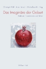 Das Imaginäre Der Geburt : Praktiken, Narrationen Und Bilder