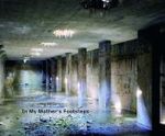 Yishay Garbasz : In My Mother's Footsteps （2009. 139 p. w. 63 col.  photographs. 28 x 34 cm）