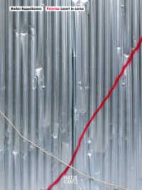 Stefan Koppelkamm. Palermo : Lavori in Corso