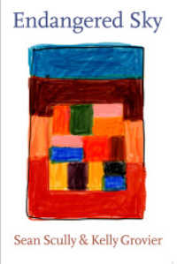 Endangered Sky : Sean Scully & Kelly Grovier (Monografie) （lim. u. num. Ausg., SIG. 2023. 128 S. 52 Abb. 226 mm）