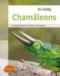 Chamäleons (Ihr Hobby) （3. Aufl. 2017. 96 S. 86 Farbfotos. 21.6 cm）